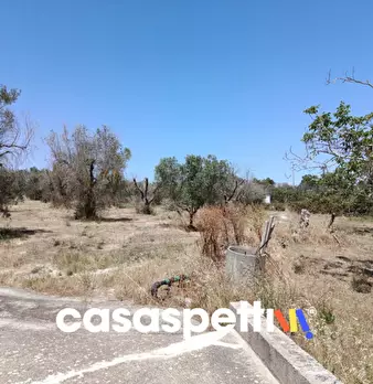 Foto annuncio 34