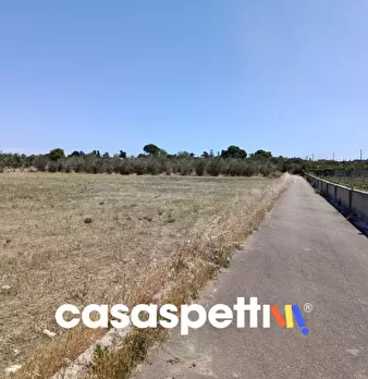 Foto annuncio 35