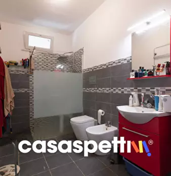 Foto annuncio 11