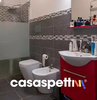 Foto annuncio 12