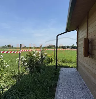 Foto annuncio 10