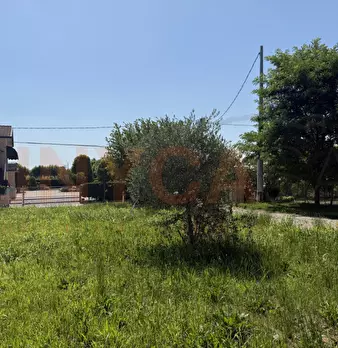 Foto annuncio 12