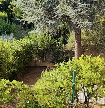 Foto annuncio 20