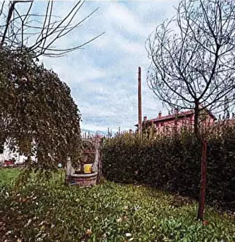 Foto annuncio 3