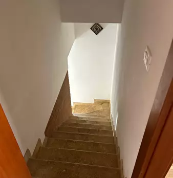 Foto annuncio 33