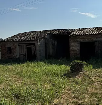 Foto annuncio 13