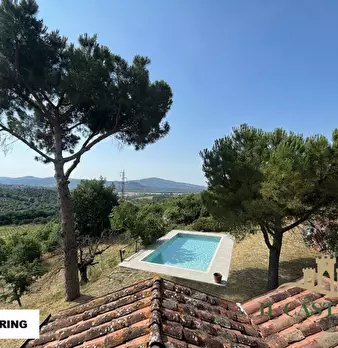 Foto annuncio 31
