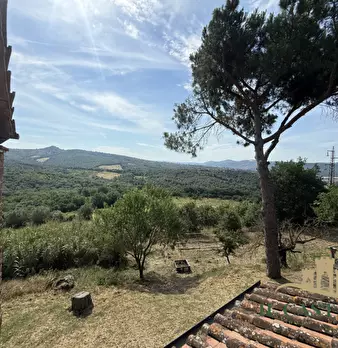 Foto annuncio 32