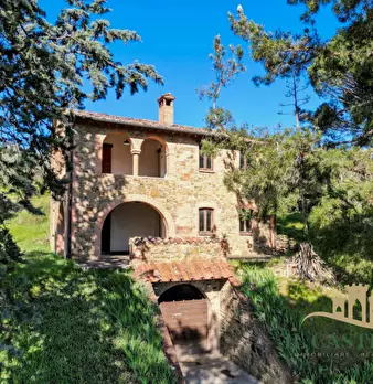 Foto annuncio 35