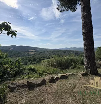 Foto annuncio 55