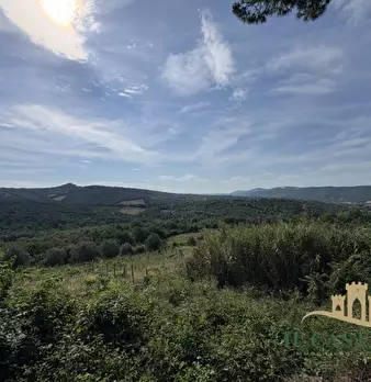 Foto annuncio 56