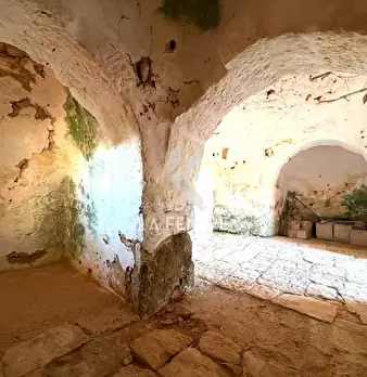 Foto annuncio 10