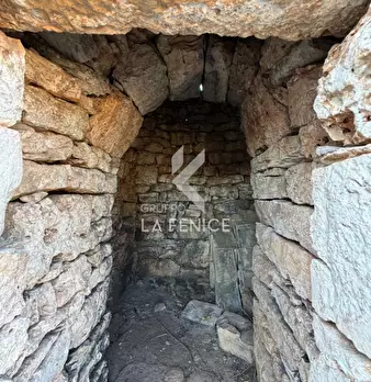 Foto annuncio 16