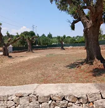Foto annuncio 5