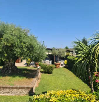 Foto annuncio 2