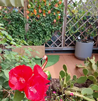 Foto annuncio 22