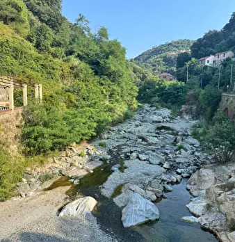 Foto annuncio 20