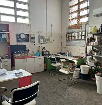 Foto annuncio 20