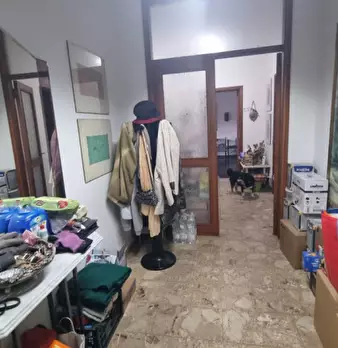 Foto annuncio 7