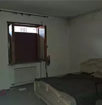 Foto annuncio 11