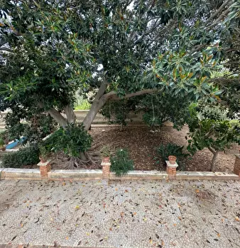 Foto annuncio 23