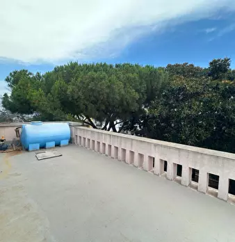 Foto annuncio 31