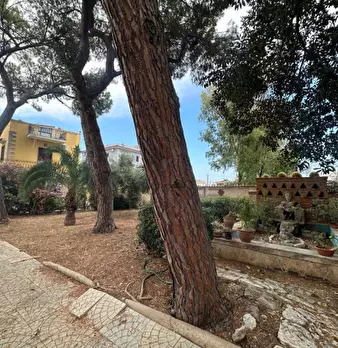 Foto annuncio 40