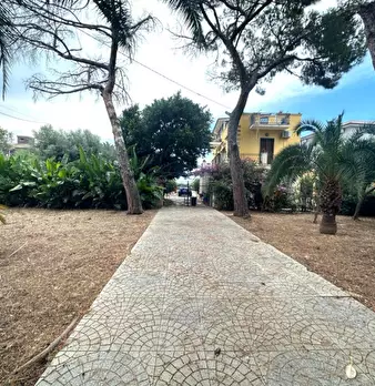Foto annuncio 41