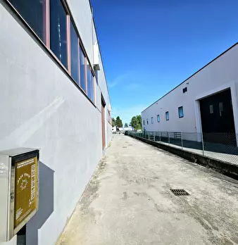 Foto annuncio 9