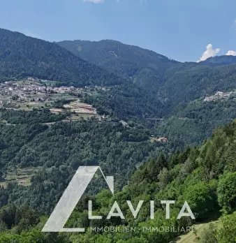 Foto annuncio 29