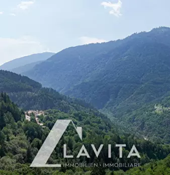 Foto annuncio 31