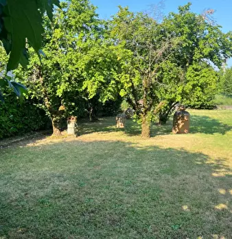Foto annuncio 7