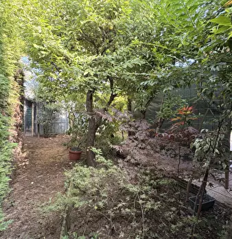 Foto annuncio 11