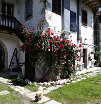 Foto annuncio 11