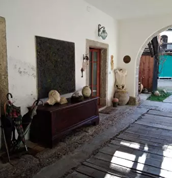 Foto annuncio 14