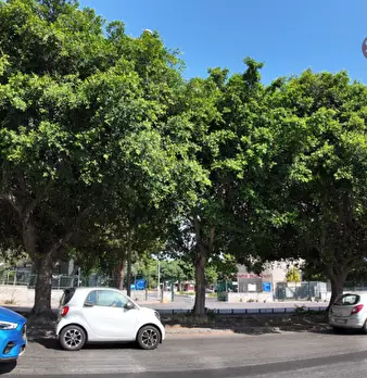 Foto annuncio 11