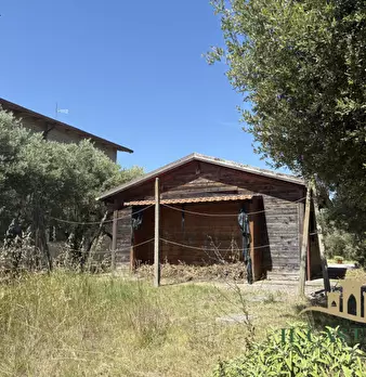 Foto annuncio 16