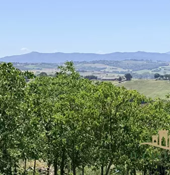Foto annuncio 39