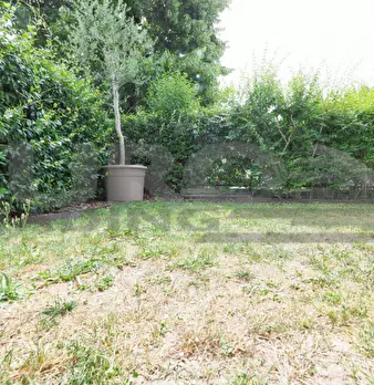 Foto annuncio 55