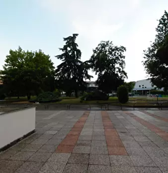 Foto annuncio 18