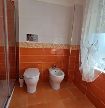 Foto annuncio 43