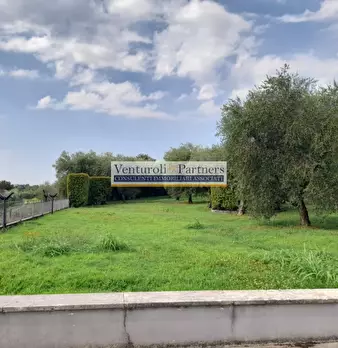 Foto annuncio 8