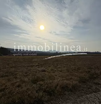 Foto annuncio 4