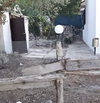 Foto annuncio 10