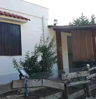 Foto annuncio 11