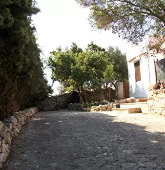 Foto annuncio 13