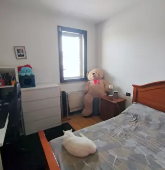 Foto annuncio 5