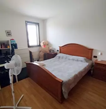 Foto annuncio 6