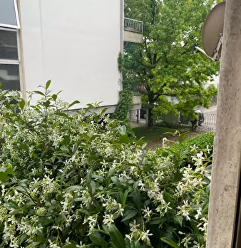 Foto annuncio 5