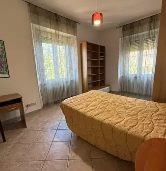 Foto annuncio 7